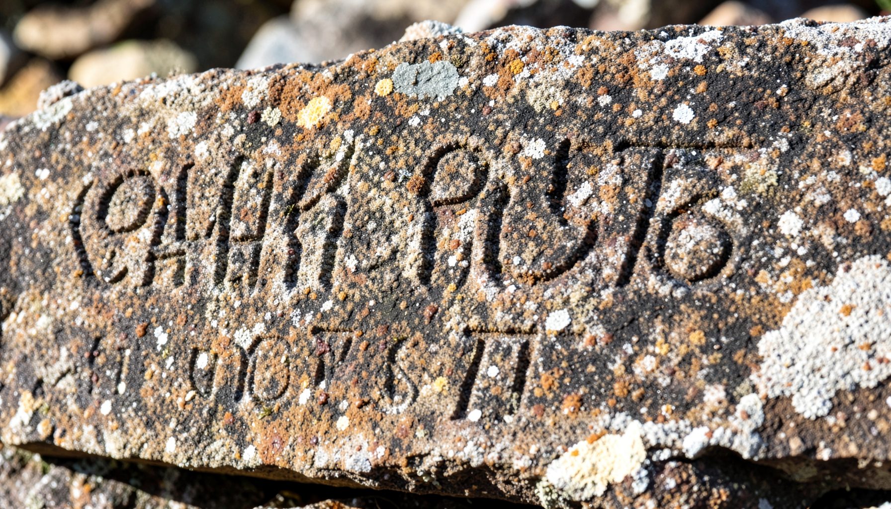 Close-up of weathered stone with engraved text, natural daylight, earthy browns and greys