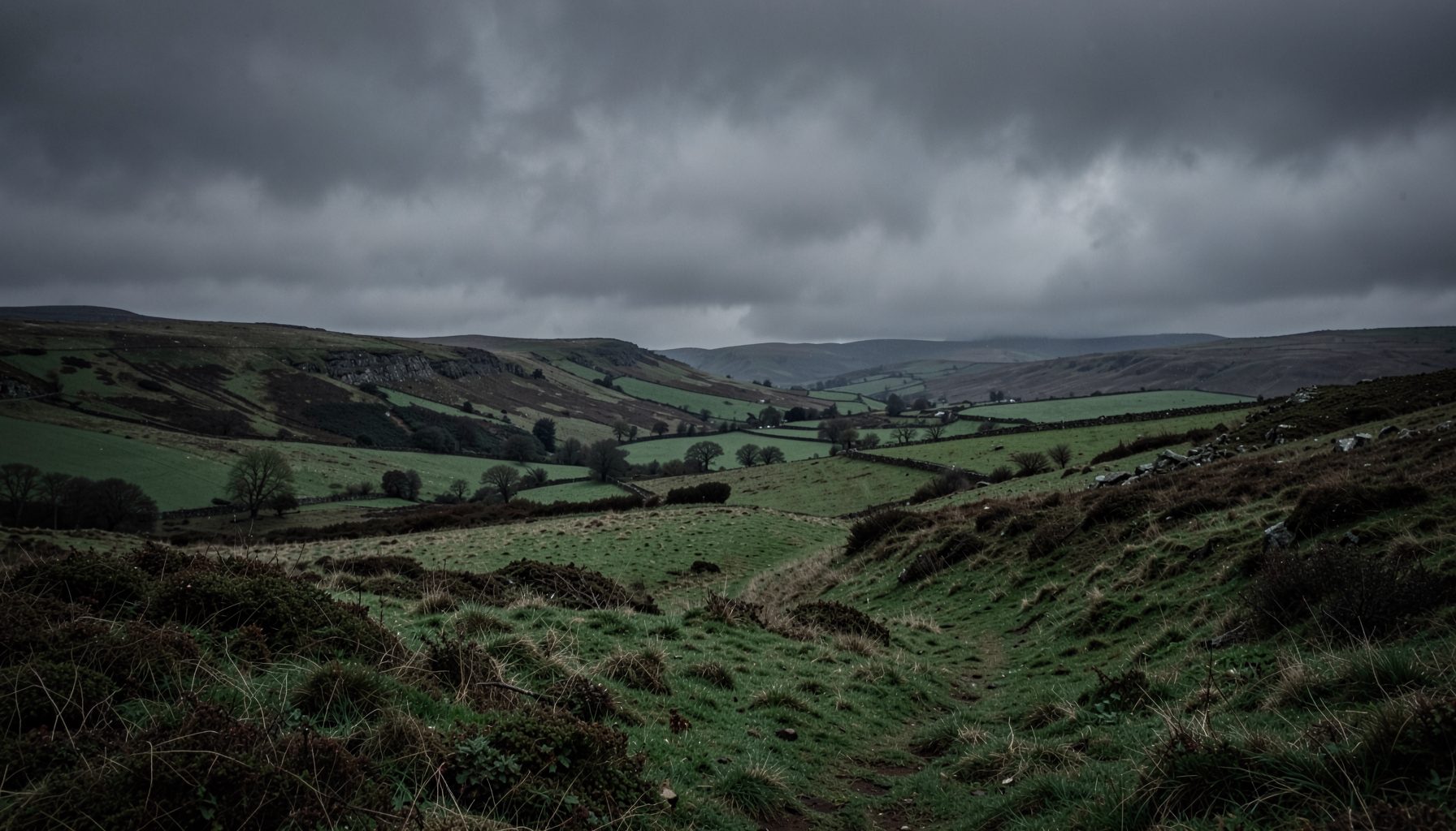 Dark, moody landscape of an Irish countryside under a heavy grey sky, with muted greens and browns dominating the scene