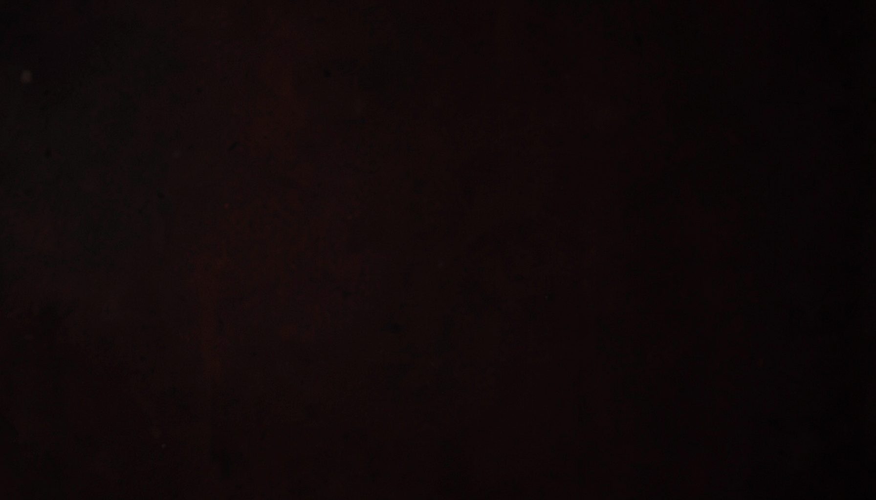 Dark textured background with subtle warm red tones and deep shadows, evoking a solemn commemorative atmosphere